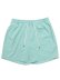 画像1: 【送料無料】POLO RALPH LAUREN 5.75 INCH TRAVELER CLASSIC SWIM TRUNK CELADON (1)