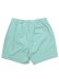 画像2: 【送料無料】POLO RALPH LAUREN 5.75 INCH TRAVELER CLASSIC SWIM TRUNK CELADON (2)