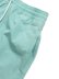 画像3: 【送料無料】POLO RALPH LAUREN 5.75 INCH TRAVELER CLASSIC SWIM TRUNK CELADON (3)