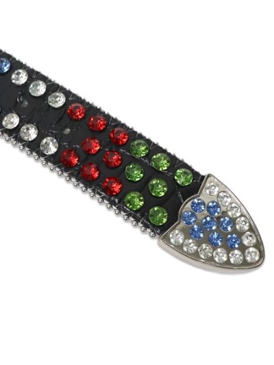 画像4: 【送料無料】STOLEN ARTS WORLD IS YOURS BELT