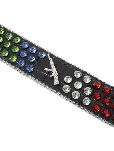 画像3: 【送料無料】STOLEN ARTS WORLD IS YOURS BELT