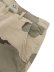 画像4: 【送料無料】INTERBREED CROPPED CAMOUFLAGE SHORTS DESERT CAMO (4)