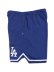 画像3: FANATICS MESH SHORT DODGERS DEEP ROYAL/WHITE (3)