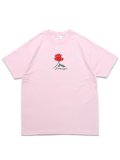 ACAPULCO GOLD PIMPIN' AIN'T EASY TEE PINK