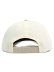 画像4: NEW ERA 9FORTY A-FRAME RED WINGS CHROME/STONE (4)