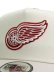 画像6: NEW ERA 9FORTY A-FRAME RED WINGS CHROME/STONE (6)