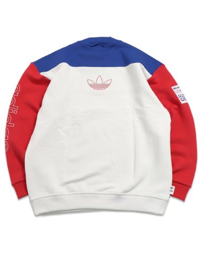 画像2: 【送料無料】ADIDAS WORLD CUP USA94 GRAPHIC SWEATSHIRT-TEAM ROYAL BL/CLOUD WH