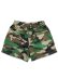 画像1: 【送料無料】INTERBREED AIRY TRAINING MESH SHORTS WOODLAND CAMO (1)