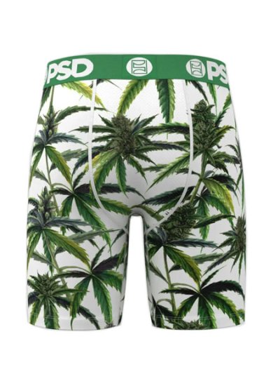 画像2: PSD BUDS & BLOOM TRUNKS