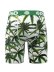 画像2: PSD BUDS & BLOOM TRUNKS (2)