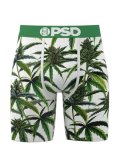 PSD BUDS & BLOOM TRUNKS