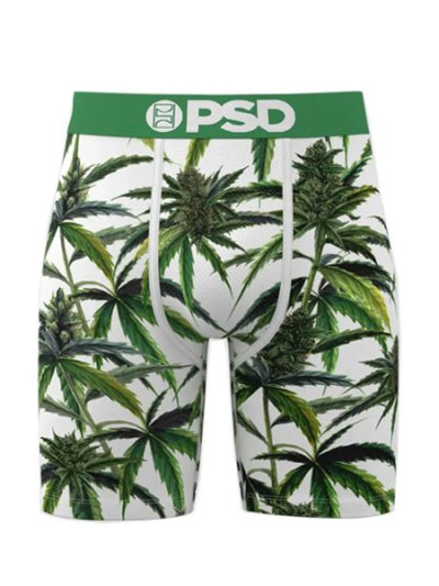 画像1: PSD BUDS & BLOOM TRUNKS