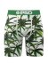 画像1: PSD BUDS & BLOOM TRUNKS (1)