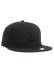 画像1: NEW ERA 59FIFTY BLK ON BLK TIGERS (1)