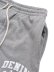 画像3: 【送料無料】DENIM TEARS DENIM UNIVERSITY SWEATSHORTS GREY/WHITE (3)