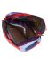 画像2: 【送料無料】COTOPAXI ALLPA MINI 20L TRAVEL PACK DEL DIA (2)