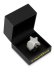 画像3: 【送料無料】KING ICE SHOOTING STAR STERLING SILVER WHITE GOLD RING (3)