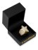 画像3: 【送料無料】KING ICE SHOOTING STAR STERLING SILVER 14K VERMEIL RING (3)
