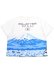 画像2: 【送料無料】RED LETTERS JAPAN FUJI TEE WHITE (2)