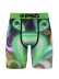 画像1: PSD WF RADIANCE TRUNKS (1)