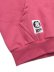 画像4: 【送料無料】ICECREAM EMBROIDEREY LOGO CRAZY COTTON ZIP UP HOODIE MIX2 (4)