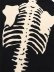 画像8: 【送料無料】VANSON BONE ZIP KNIT HOODIE BLACK/WHITE (8)