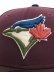 画像6: NEW ERA 59FIFTY DEEP AUTUMN BLUE JAYS MAROON/BURNT WOOD (6)