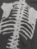 画像5: 【送料無料】VANSON ZIP HOODIE BLACK/WHITE BONE (5)