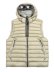 画像1: 【送料無料】C.P.COMPANY D.D. SHELL GOGGLE DOWN GILET SILVER BIRCH (1)