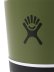 画像4: Hydro Flask DRINKWARE 16 OZ ALL AROUND TUMBLER-PALMER GREEN (4)