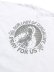 画像4: STREET WEAR SUPPLY PRAY FOR US GUADALUPE TEE (4)