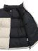 画像5: 【送料無料】THE NORTH FACE NUPTSE JACKET (5)