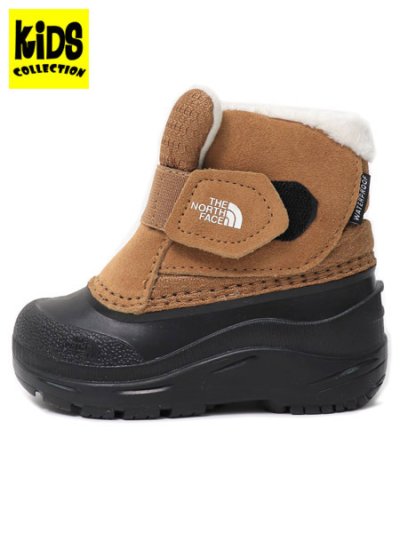 画像1: 【KIDS】THE NORTH FACE KIDS TODDLER ALPENGLOW II