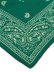 画像3: 【送料無料】POLO RALPH LAUREN SPORTSMAN BANDANA GREEN MULTI (3)