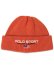 画像1: 【送料無料】POLO RALPH LAUREN POLO SPORT BEANIE SOLAR SKY (1)