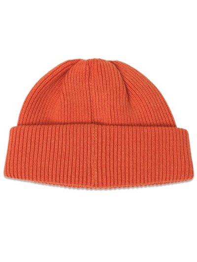 画像2: 【送料無料】POLO RALPH LAUREN POLO SPORT BEANIE SOLAR SKY