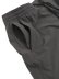 画像5: 【送料無料】REIGNING CHAMP 4-WAY STRETCH NYLON STANDARD TRAINING SHORT 9" CARBON (5)