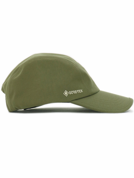 north face gore cap