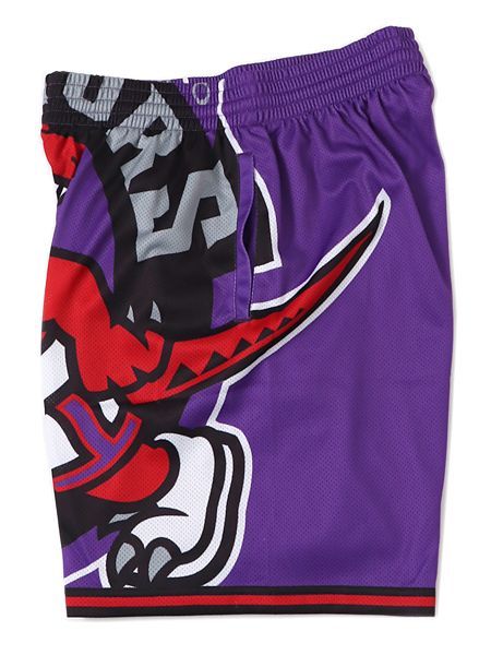 toronto raptors big face shorts