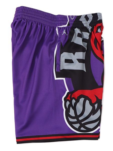 toronto raptors big face shorts