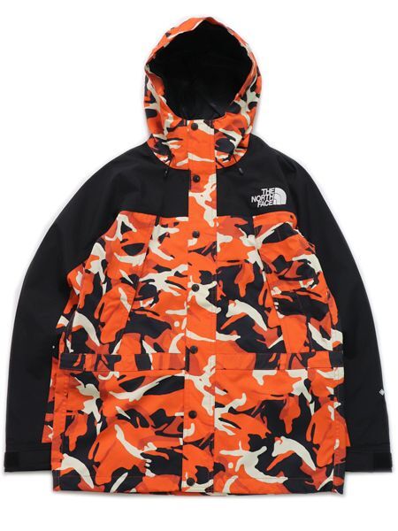 SALE】【送料無料】THE NORTH FACE NOVELTY MOUNTAIN LIGHT JACKET