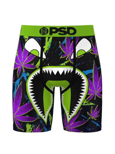 PSD WF CHRONIC  BOXER BRIEF MULTI