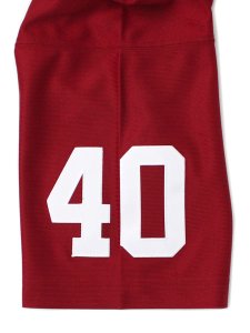 画像6: 【SALE】【送料無料】MITCHELL & NESS FB JERSEY-CARDINALS/2000PT#40 REPLICA.C (6)