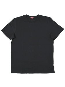 画像1: CITY LAB PREMIUM CREW NECK TEE (1)