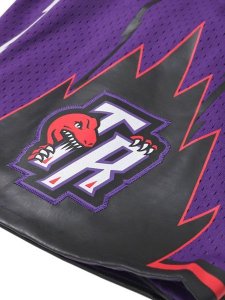 画像11: 【送料無料】MITCHELL & NESS SWINGMAN SHORTS RAPTORS 1998-1999 (11)