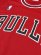 画像10: 【送料無料】MITCHELL & NESS 1987-88 AUTHENTIC SHOOTING SHIRT-BULLS (10)