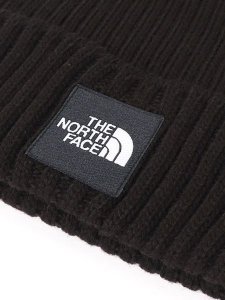 画像3: THE NORTH FACE CAPPUCHO LID (3)