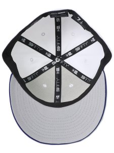画像5: NEW ERA LP 59FIFTY CS LA DOGERS GREY UNDER VISOR (5)