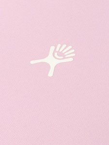 画像7: 【KIDS】Hydro Flask BTS KIDS INSULATED LUNCH BOX-PLUMERIA (7)