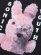 画像3: 【SALE】KUNG FU NATION SONIC YOUTH DIRTY BUNNY TEE (3)